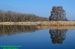Bohdanečský rybník ©Kamila Motyčková a Jiří Šír.jpg