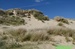 De Panne, duny ©Kamila Motyčková a Jiří Šír.jpg