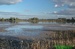 Žehušický rybník ©Kamila Motyčková a Jiří Šír.jpg